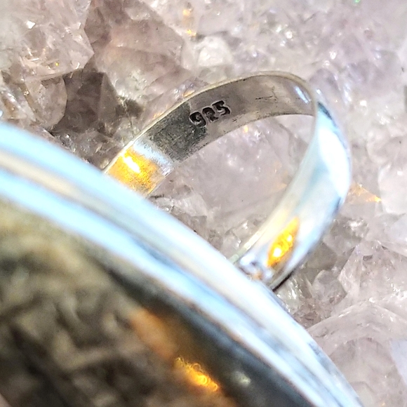 💚2 for $40💚NWOT Natural Orthoceras Fossilized Stone .925 Sterling Overlay Ring - Picture 9 of 12